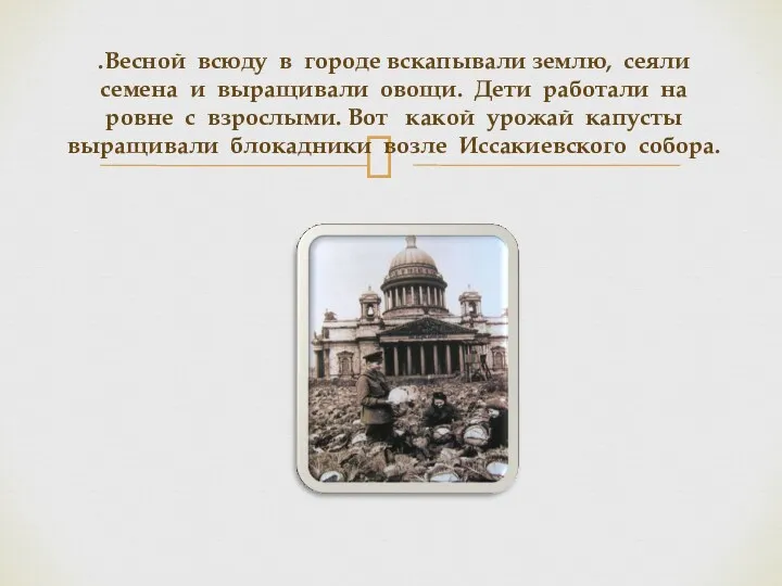 .Весной всюду в городе вскапывали землю, сеяли семена и выращивали овощи. Дети работали