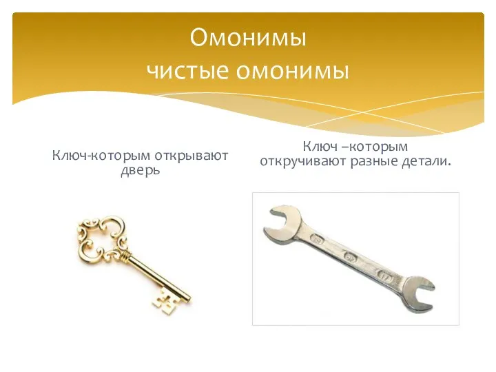 Омонимы чистые омонимы Ключ-которым открывают дверь Ключ –которым откручивают разные детали.