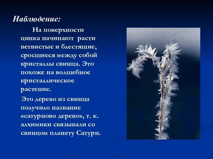 Наблюдение: На поверхности цинка начинают расти ветвистые и блестящие, сросшиеся