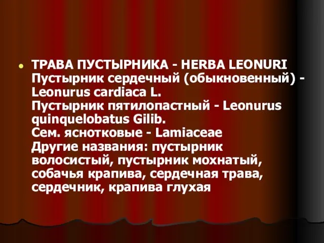 ТРАВА ПУСТЫРНИКА - HERBA LEONURI Пустырник сердечный (обыкновенный) - Leonurus