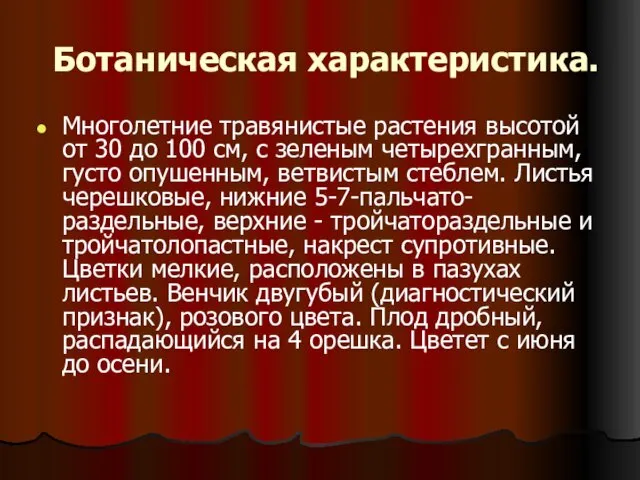 Ботаническая характеристика. Многолетние травянистые растения высотой от 30 до 100