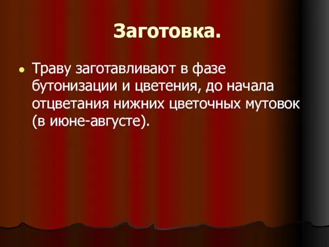 Заготовка. Траву заготавливают в фазе бутонизации и цветения, до начала отцветания нижних цветочных мутовок (в июне-августе).