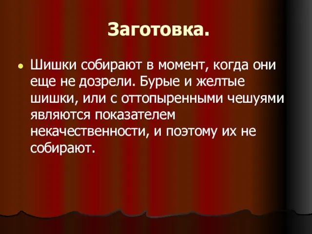 Заготовка. Шишки собирают в момент, когда они еще не дозрели.