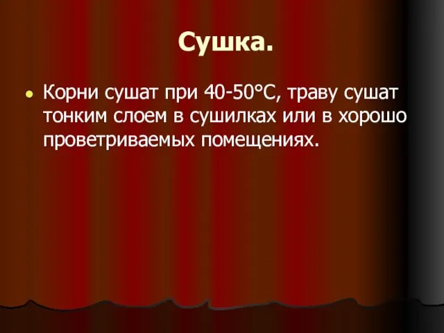 Сушка. Корни сушат при 40-50°C, траву сушат тонким слоем в сушилках или в хорошо проветриваемых помещениях.