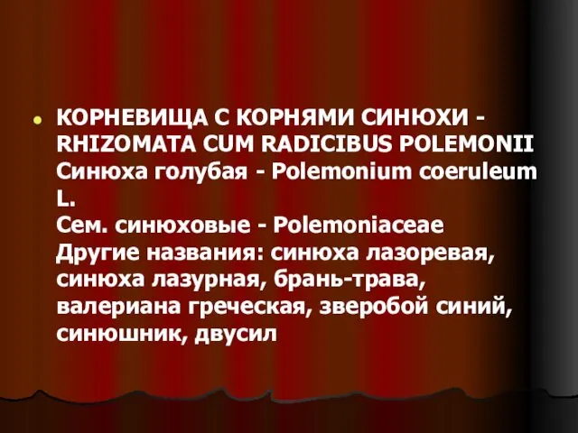 КОРНЕВИЩА С КОРНЯМИ СИНЮХИ - RHIZOMATA CUM RADICIBUS POLEMONII Синюха