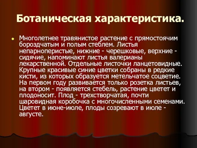 Ботаническая характеристика. Многолетнее травянистое растение с прямостоячим бороздчатым и полым