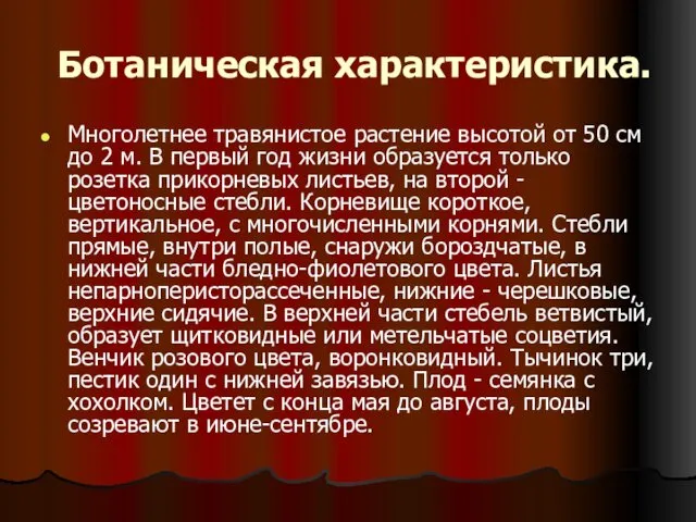 Ботаническая характеристика. Многолетнее травянистое растение высотой от 50 см до