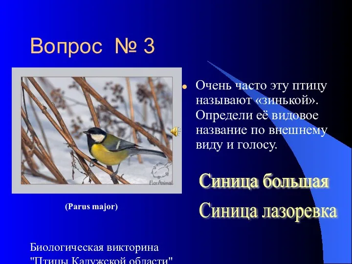 Биологическая викторина "Птицы Калужской области" Вопрос № 3 Очень часто