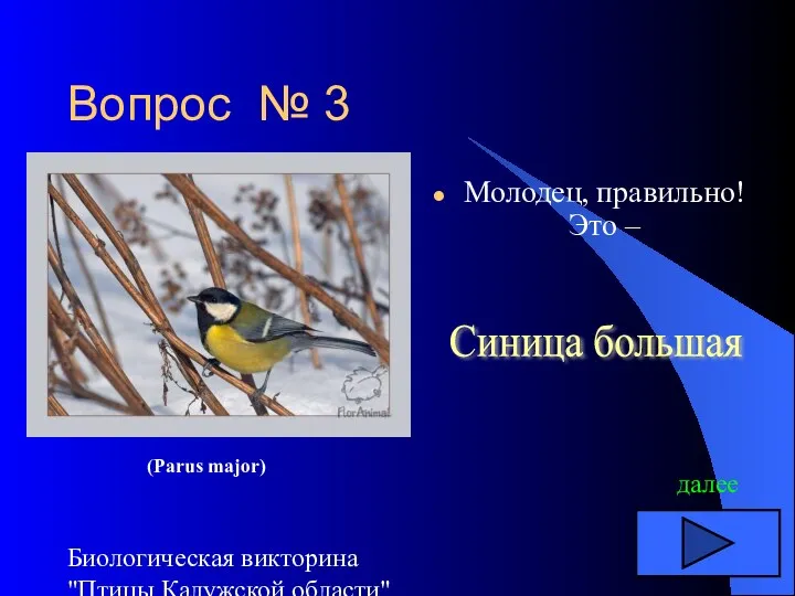 Биологическая викторина "Птицы Калужской области" Вопрос № 3 Молодец, правильно!