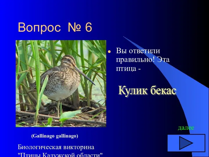 Биологическая викторина "Птицы Калужской области" Вопрос № 6 Вы ответили