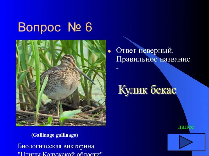 Биологическая викторина "Птицы Калужской области" Вопрос № 6 Ответ неверный.