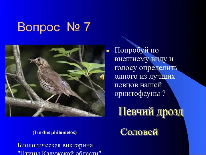 Биологическая викторина "Птицы Калужской области" Вопрос № 7 Попробуй по