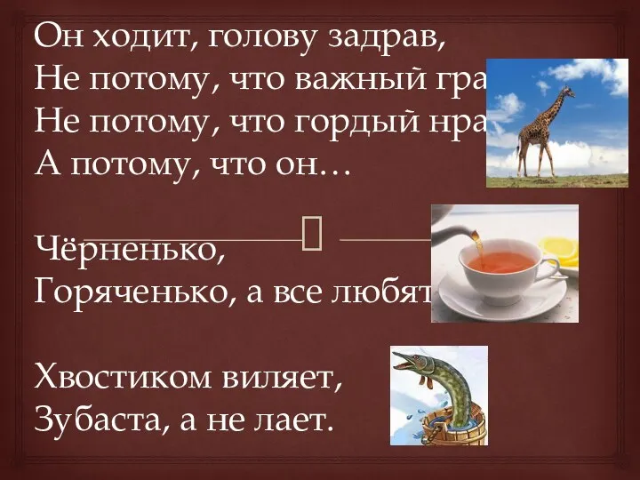 Он ходит, голову задрав, Не потому, что важный граф, Не