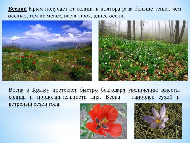 Весна в Крыму протекает быстро благодаря увеличению высоты солнца и