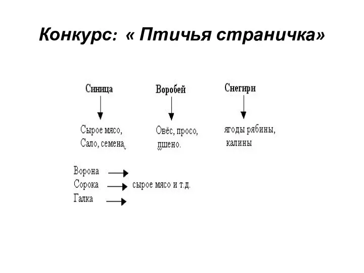 Конкурс: « Птичья страничка»