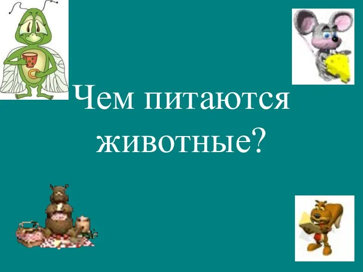 Чем питаются животные?