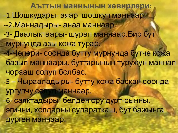 Аъттын маннынын хевирлери: 1.Шошкудары- аяар шошкуп маннаар. -2.Маннадыры- анаа маннаар.