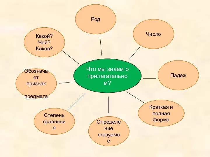 Что мы знаем о прилагательном? Какой? Чей? Каков? Род Число