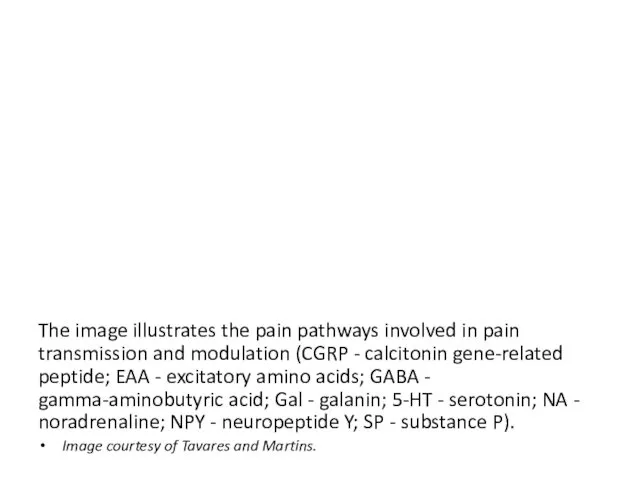 The image illustrates the pain pathways involved in pain transmission