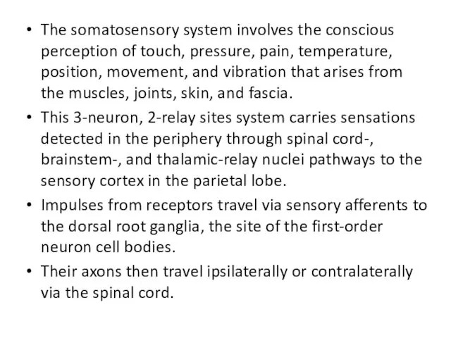 The somatosensory system involves the conscious perception of touch, pressure,