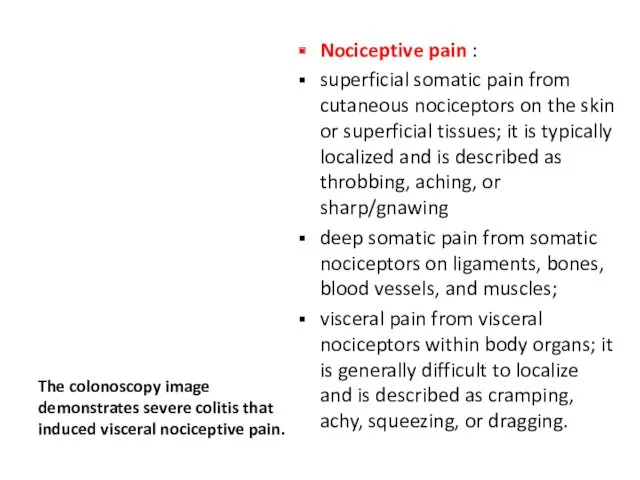 The colonoscopy image demonstrates severe colitis that induced visceral nociceptive