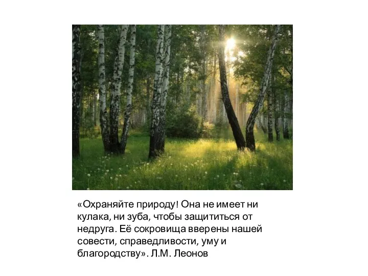 «Охраняйте природу! Она не имеет ни кулака, ни зуба, чтобы