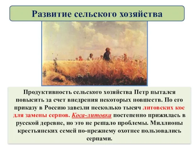 Продуктивность сельского хозяйства Петр пытался повысить за счет внедрения некоторых