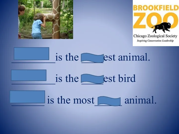 ________is the ____est animal. ________is the ____est bird ______ is the most_____ animal.