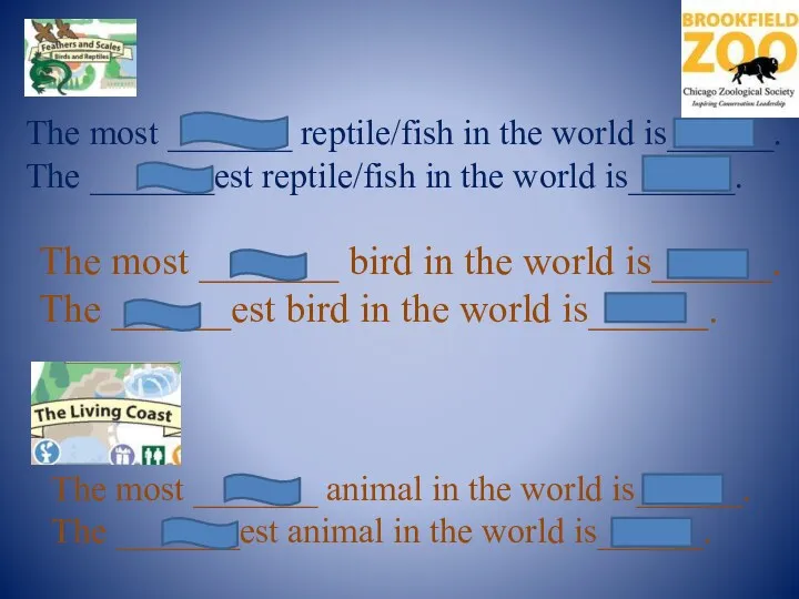 The most _______ reptile/fish in the world is______. The _______est reptile/fish in the
