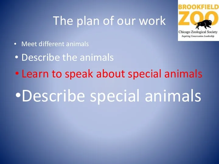 The plan of our work Meet different animals Describe the animals Learn to