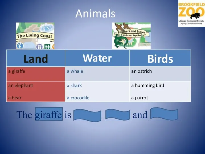 Animals The giraffe is _____, _____ and ______