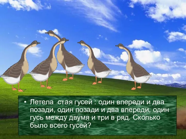 Летела стая гусей : один впереди и два позади, один