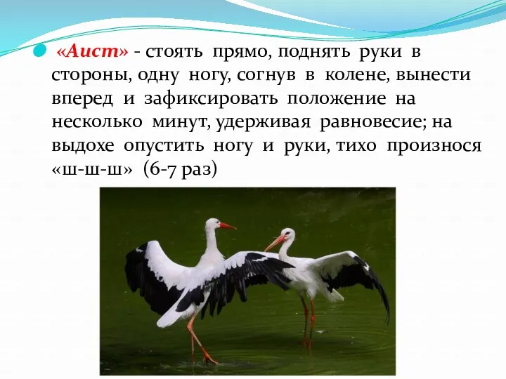 «Аист» - стоять прямо, поднять руки в стороны, одну ногу, согнув в колене,