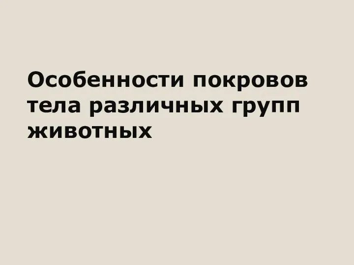 Особенности покровов тела различных групп животных