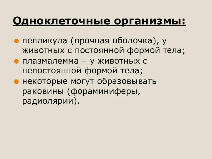 Одноклеточные организмы: пелликула (прочная оболочка), у животных с постоянной формой