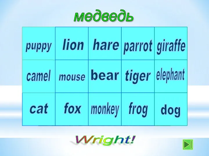 медведь lion tiger parrot hare bear monkey mouse fox cat