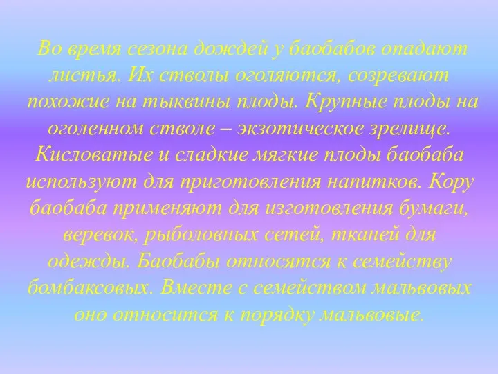 Во время сезона дождей у баобабов опадают листья. Их стволы оголяются, созревают похожие