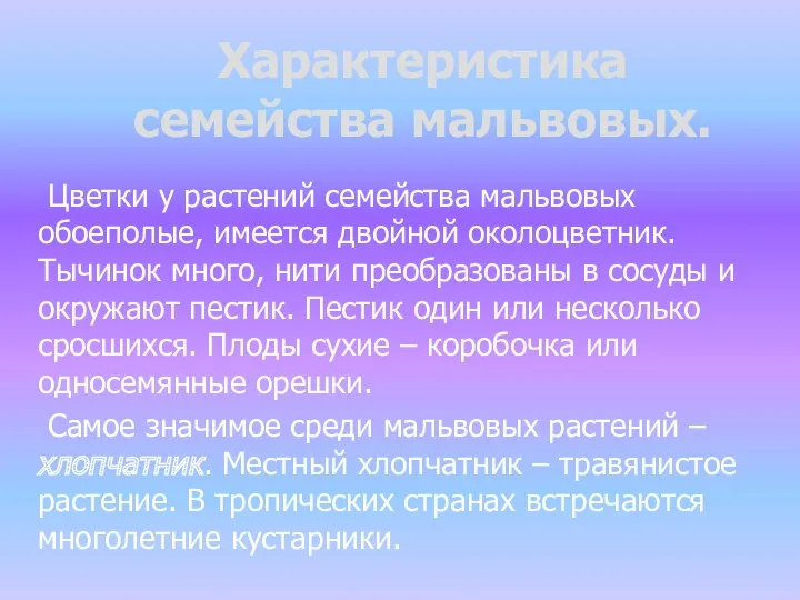 Характеристика семейства мальвовых. Цветки у растений семейства мальвовых обоеполые, имеется двойной околоцветник. Тычинок