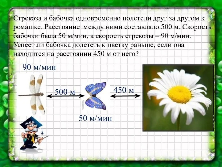 Стрекоза и бабочка одновременно полетели друг за другом к ромашке.