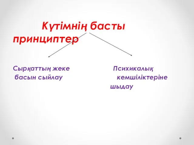 Күтімнің басты принциптер Сырқаттың жеке Психикалық басын сыйлау кемшіліктеріне шыдау