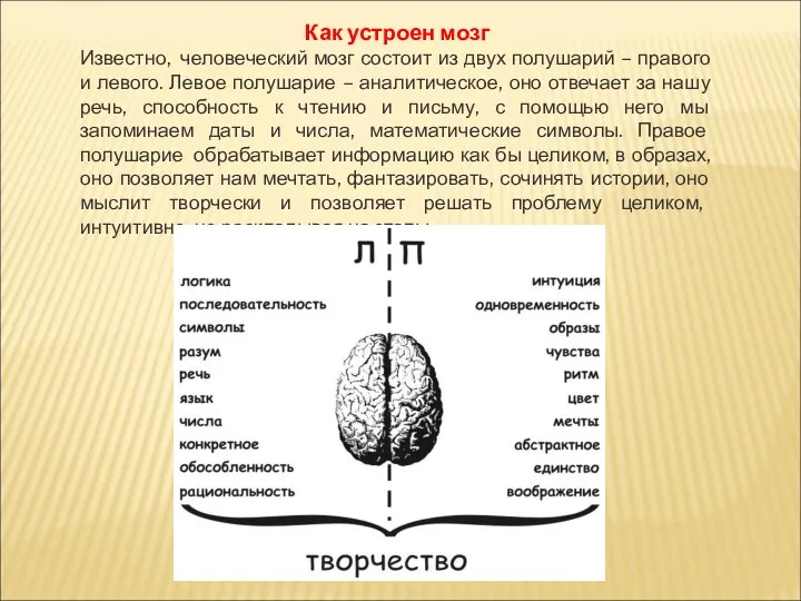 Как устроен мозг Известно, человеческий мозг состоит из двух полушарий – правого и