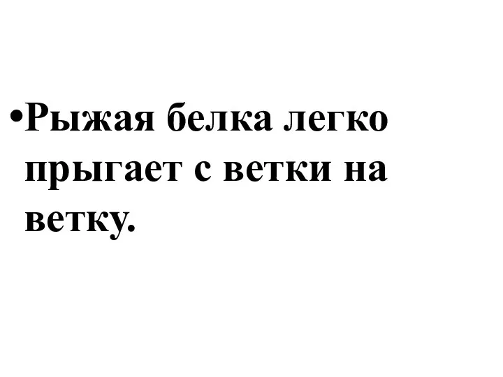 Рыжая белка легко прыгает с ветки на ветку.