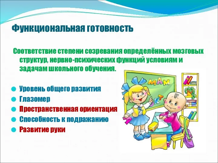 Функциональная готовность Соответствие степени созревания определённых мозговых структур, нервно-психических функций