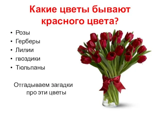 Какие цветы бывают красного цвета? Розы Герберы Лилии гвоздики Тюльпаны Отгадываем загадки про эти цветы