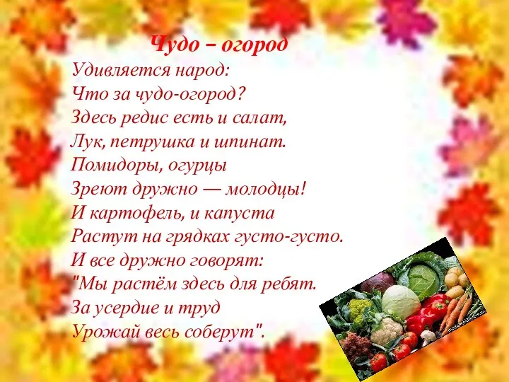 Чудо – огород Удивляется народ: Что за чудо-огород? Здесь редис есть и салат,