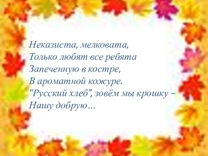 Неказиста, мелковата, Только любят все ребята Запеченную в костре, В ароматной кожуре. “Русский