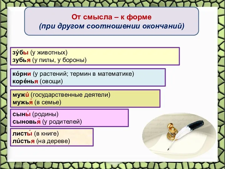 От смысла – к форме (при другом соотношении окончаний) кóрни