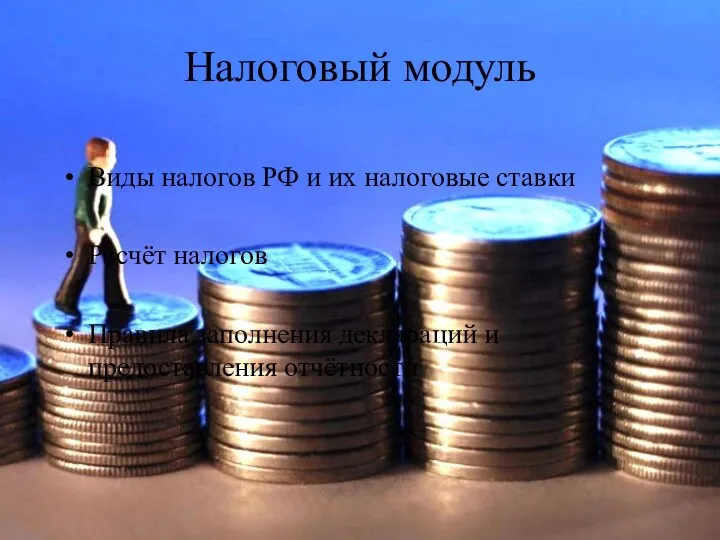 Налоговый модуль Виды налогов РФ и их налоговые ставки Расчёт