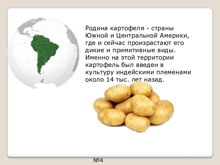 Родина картофеля - страны Южной и Центральной Америки, где и