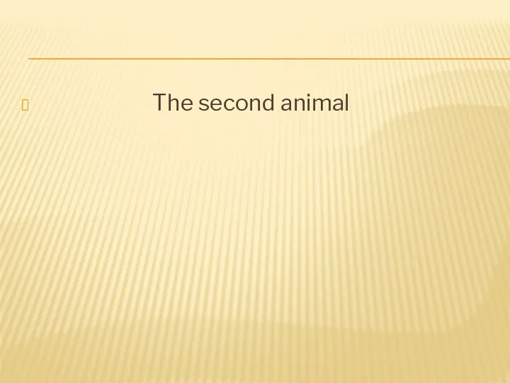 The second animal